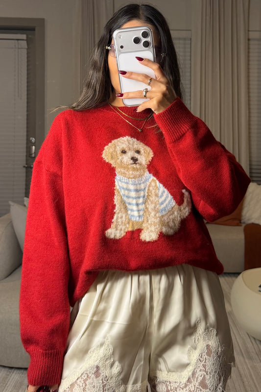 Goldendoodle sweater
